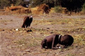 vulture