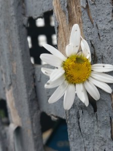 20150720_151113