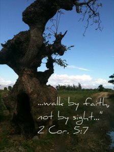 Haiti_Walk by Faith